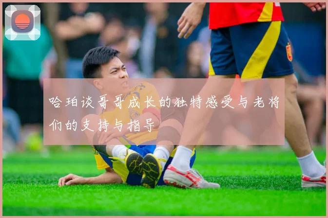 哈珀谈哥哥成长的独特感受与老将们的支持与指导