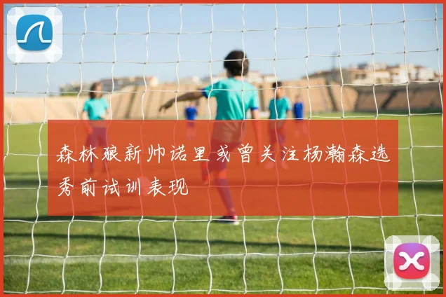 森林狼新帅诺里或曾关注杨瀚森选秀前试训表现