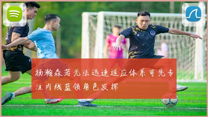 杨瀚森若无法迅速适应体系可先专注内线蓝领角色发挥